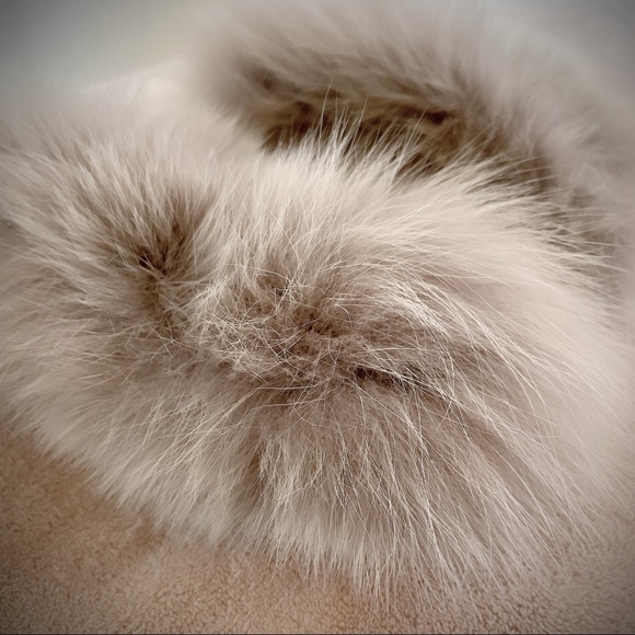 Brand new Max Mara Fox cuffs - Picture 5 of 5